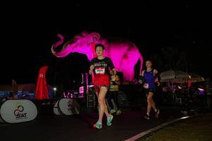 BIB: 
                            <button type="button" onclick="openModal(26543767)" class="btn btn-primary btn-sm float-right btn-popup" data-toggle="modal" data-target=".modal-high-quality">
                        <i class="fas fa-shopping-cart"></i> Add to Cart
                    </button>
                                            <button type="button" onclick="isThisMe(26543767, true)" class="btn btn-success btn-sm float-right btn-popup btn-isme hidden" data-toggle="tooltip" data-placement="bottom" title="นี่คือรูปของคุณใช่ไหม คลิกที่นี่เพื่อเอาเข้าอัลบั้ม">
                        <i class="fas fa-plus"></i> Add to album
                    </button>
                    <button type="button" onclick="isThisMe(26543767, false)" class="btn btn-warning btn-sm float-right btn-popup btn-isnotme hidden">
                        <i class="fas fa-ban"></i> Remove from album
                    </button>